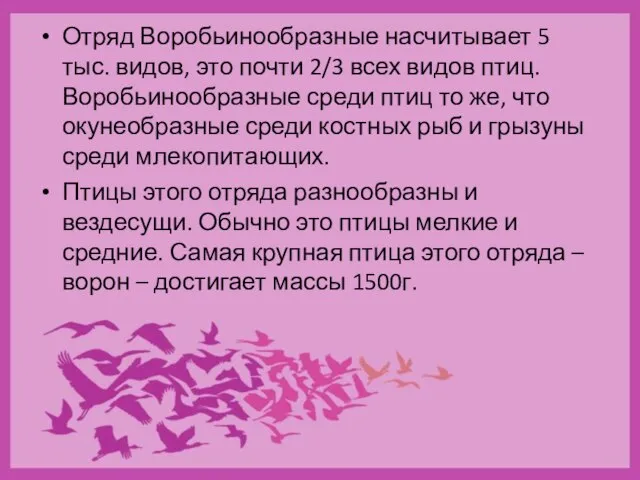 Отряд Воробьинообразные насчитывает 5 тыс. видов, это почти 2/3 всех видов