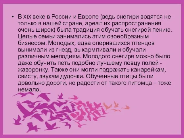 В XIX веке в России и Европе (ведь снегири водятся не