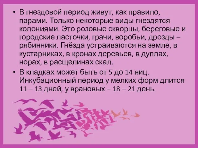 В гнездовой период живут, как правило, парами. Только некоторые виды гнездятся