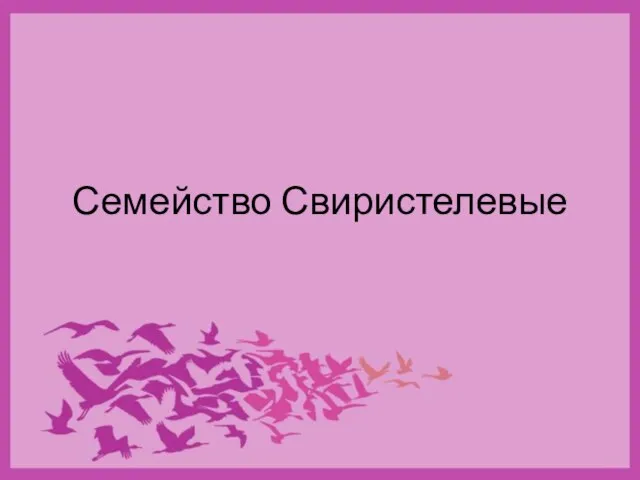 Семейство Свиристелевые