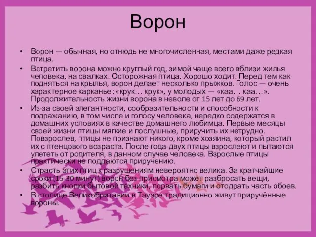 Ворон Ворон — обычная, но отнюдь не многочисленная, местами даже редкая