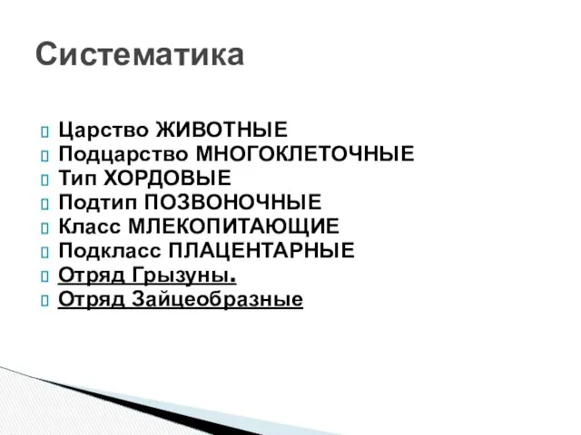 Царство ЖИВОТНЫЕ Подцарство МНОГОКЛЕТОЧНЫЕ Тип ХОРДОВЫЕ Подтип ПОЗВОНОЧНЫЕ Класс МЛЕКОПИТАЮЩИЕ Подкласс