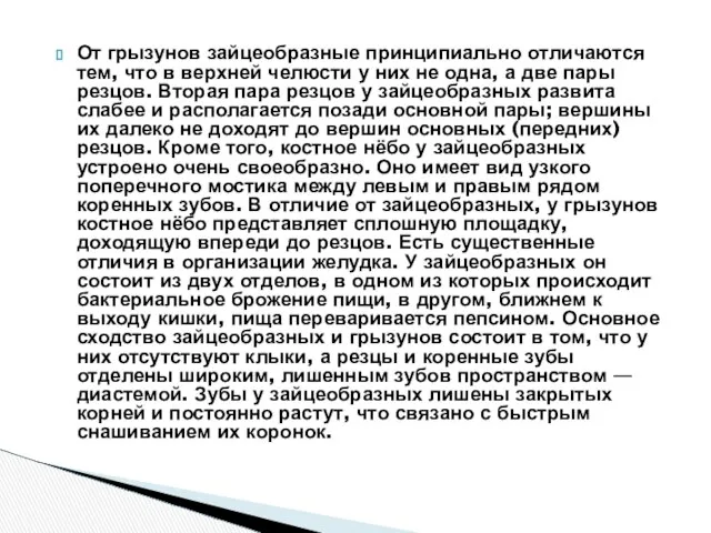 От грызунов зайцеобразные принципиально отличаются тем, что в верхней челюсти у