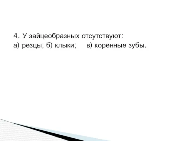 4. У зайцеобразных отсутствуют: а) резцы; б) клыки; в) коренные зубы.