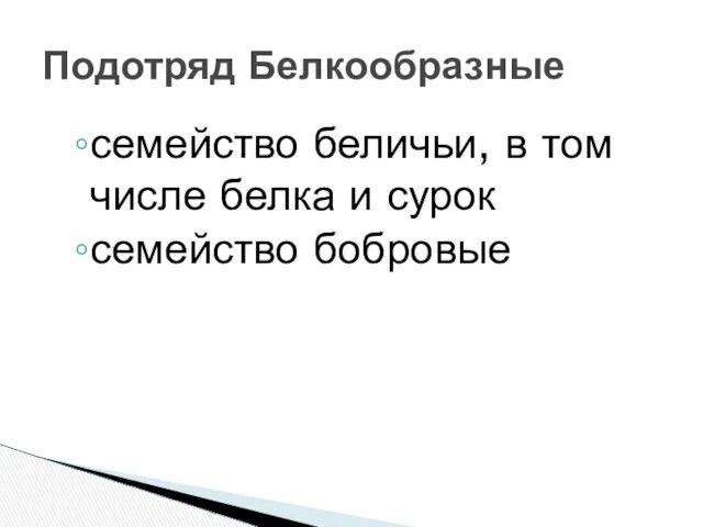 семейство беличьи, в том числе белка и сурок семейство бобровые Подотряд Белкообразные