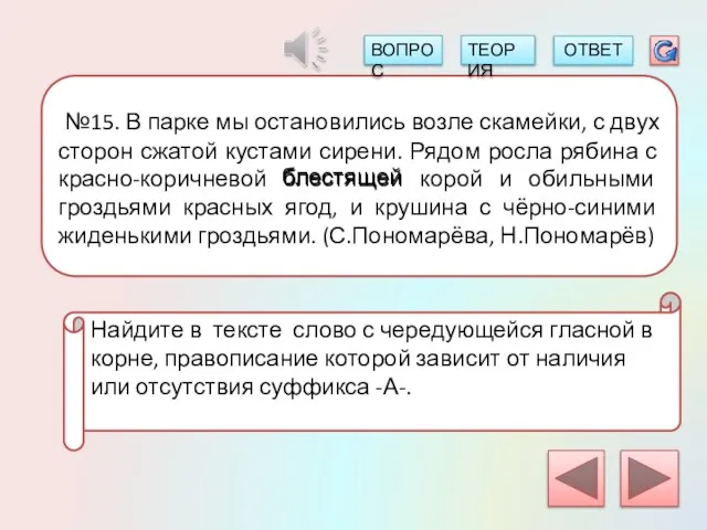 №15. В парке мы остановились возле скамейки, с двух сторон сжатой