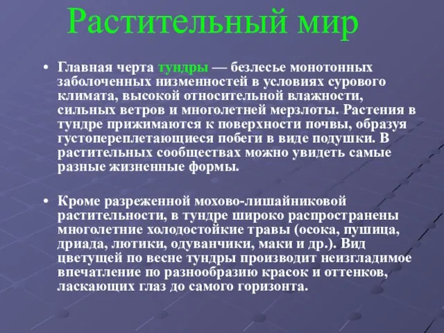 Растительный мир Главная черта тундры — безлесье монотонных заболоченных низменностей в