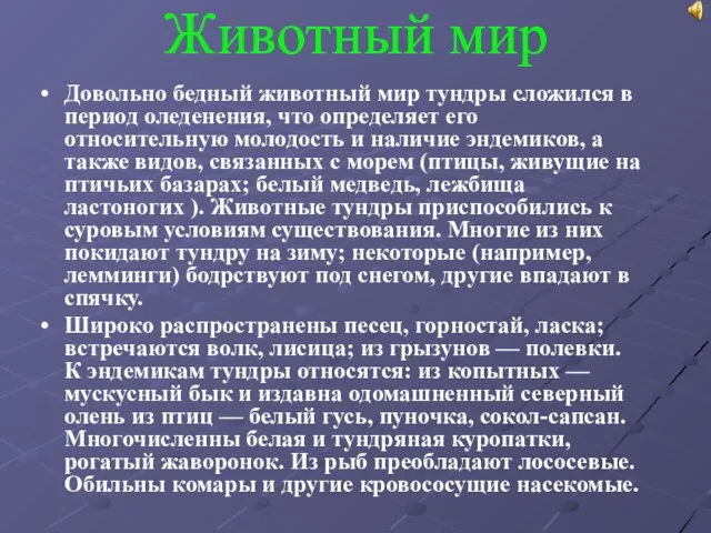 Животный мир Довольно бедный животный мир тундры сложился в период оледенения,