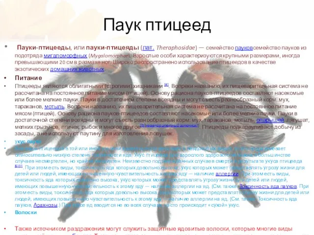 Паук птицеед Пауки-птицееды, или пауки-птицеяды (лат. Theraphosidae) — семейство пауковсемейство пауков