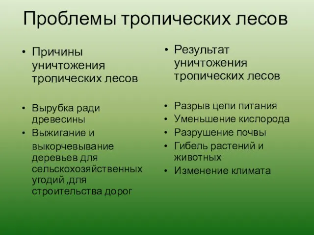 Проблемы тропических лесов Причины уничтожения тропических лесов Вырубка ради древесины Выжигание