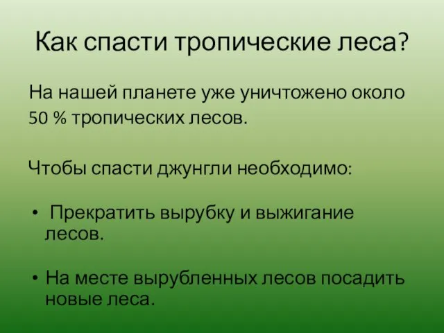 Как спасти тропические леса? На нашей планете уже уничтожено около 50