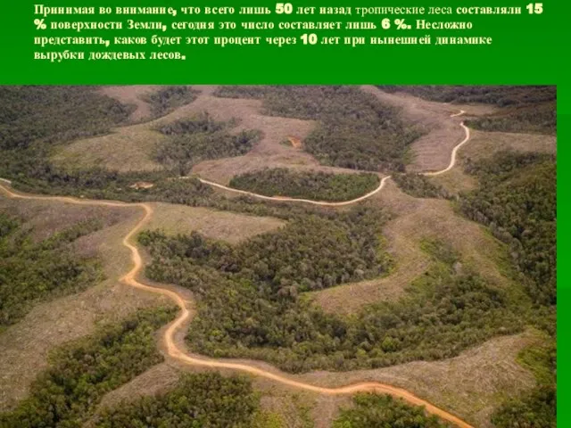 Принимая во внимание, что всего лишь 50 лет назад тропические леса
