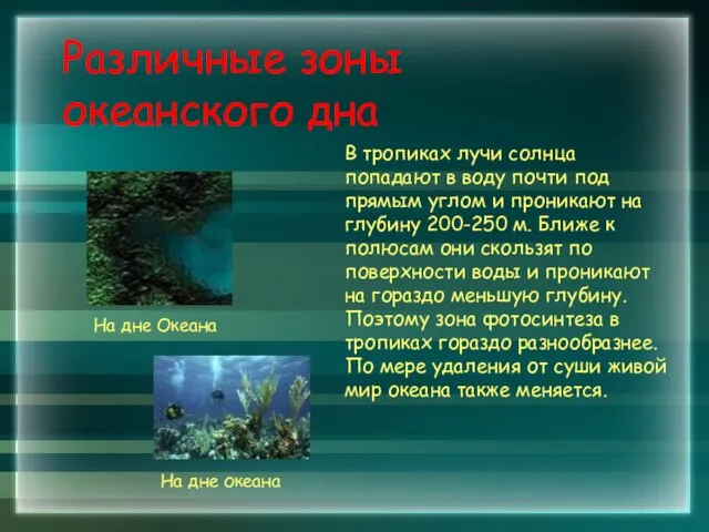 Различные зоны океанского дна В тропиках лучи солнца попадают в воду