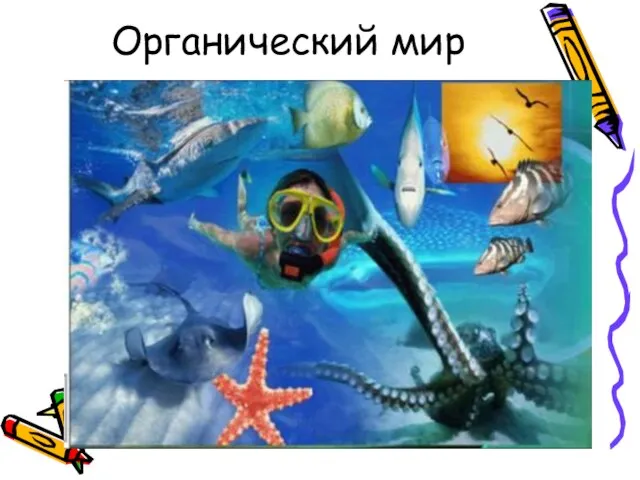 Органический мир