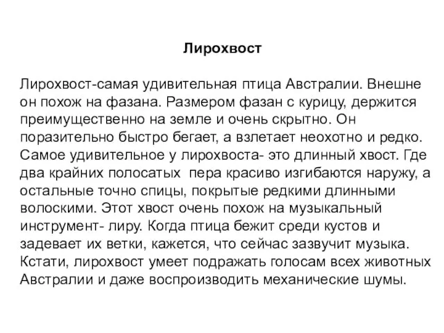 Лирохвост Лирохвост-самая удивительная птица Австралии. Внешне он похож на фазана. Размером