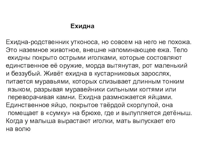 Ехидна Ехидна-родственник утконоса, но совсем на него не похожа. Это наземное