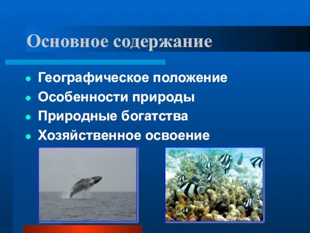 Основное содержание Географическое положение Особенности природы Природные богатства Хозяйственное освоение