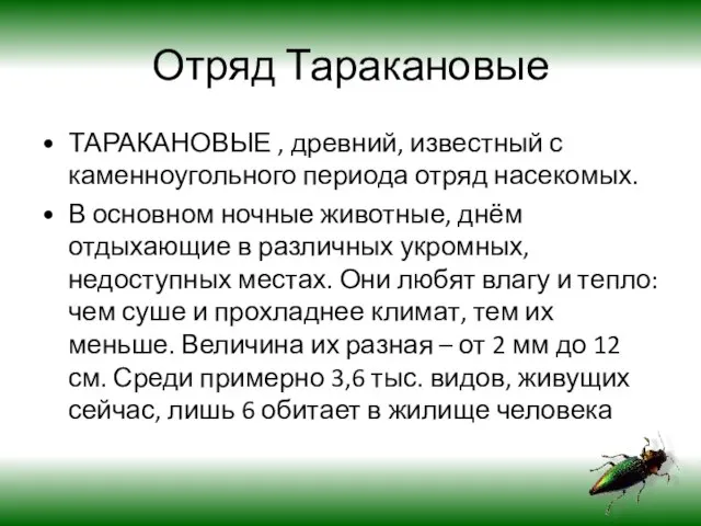 Отряд Таракановые ТАРАКАНОВЫЕ , древний, известный с каменноугольного периода отряд насекомых.