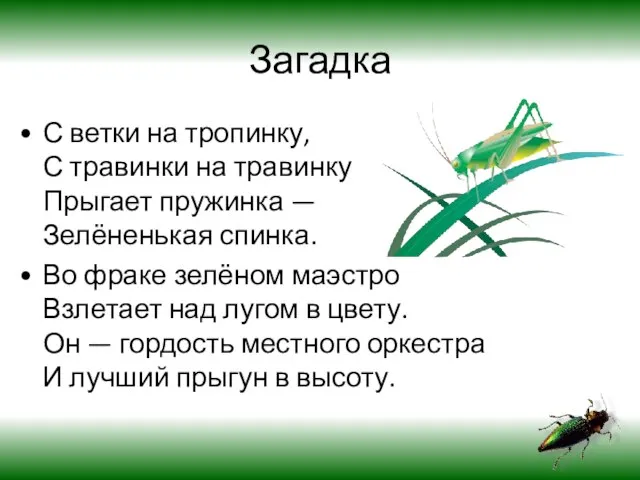 Загадка С ветки на тропинку, С травинки на травинку Прыгает пружинка