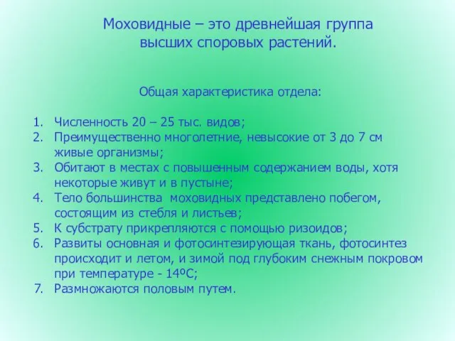 Моховидные – это древнейшая группа высших споровых растений. Общая характеристика отдела: