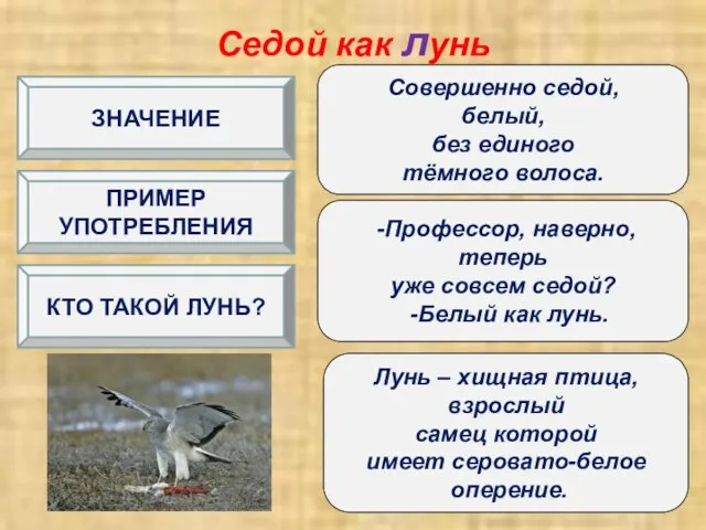 Седой как лунь Совершенно седой, белый, без единого тёмного волоса. Лунь