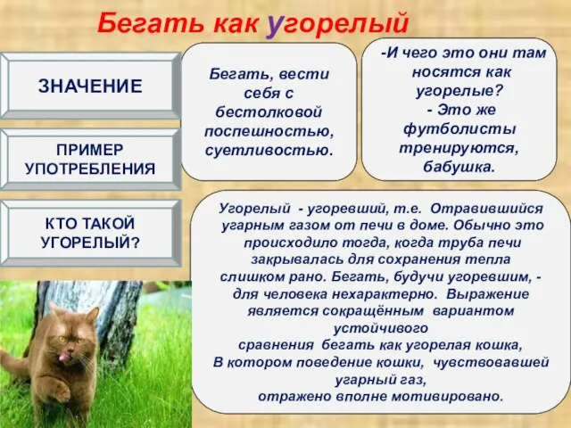 Бегать как угорелый Бегать, вести себя с бестолковой поспешностью, суетливостью. -И