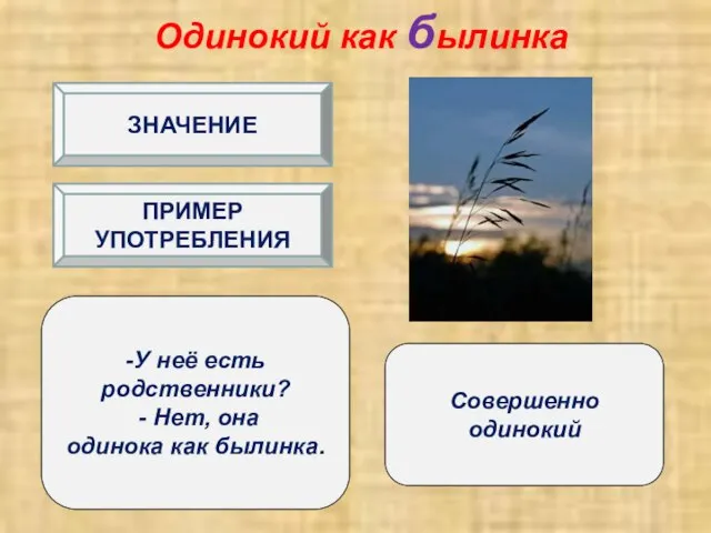 Одинокий как былинка Совершенно одинокий -У неё есть родственники? - Нет,