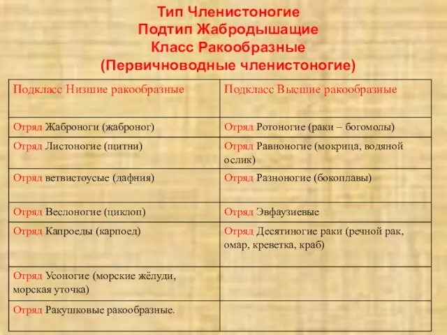 Тип Членистоногие Подтип Жабродышащие Класс Ракообразные (Первичноводные членистоногие)