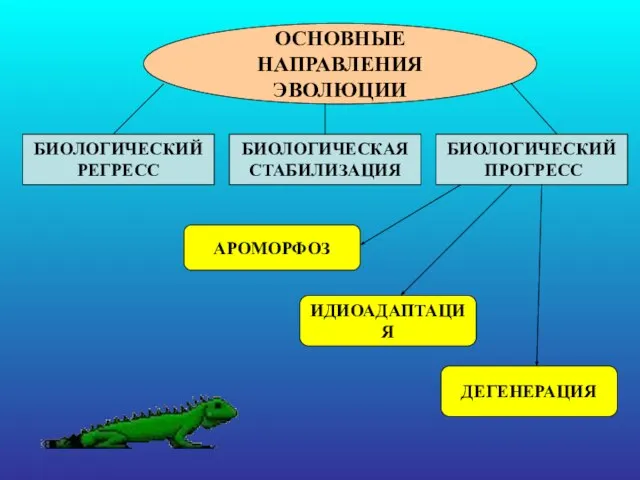 ОСНОВНЫЕ НАПРАВЛЕНИЯ ЭВОЛЮЦИИ БИОЛОГИЧЕСКИЙ РЕГРЕСС БИОЛОГИЧЕСКАЯ СТАБИЛИЗАЦИЯ БИОЛОГИЧЕСКИЙ ПРОГРЕСС АРОМОРФОЗ ИДИОАДАПТАЦИЯ ДЕГЕНЕРАЦИЯ