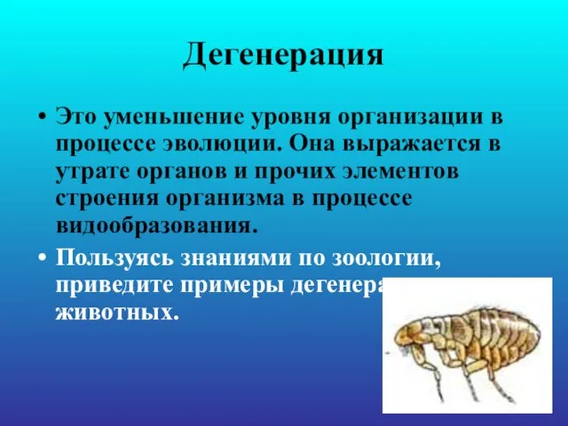 Дегенерация Это уменьшение уровня организации в процессе эволюции. Она выражается в