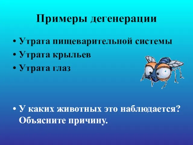 Примеры дегенерации Утрата пищеварительной системы Утрата крыльев Утрата глаз У каких животных это наблюдается? Объясните причину.