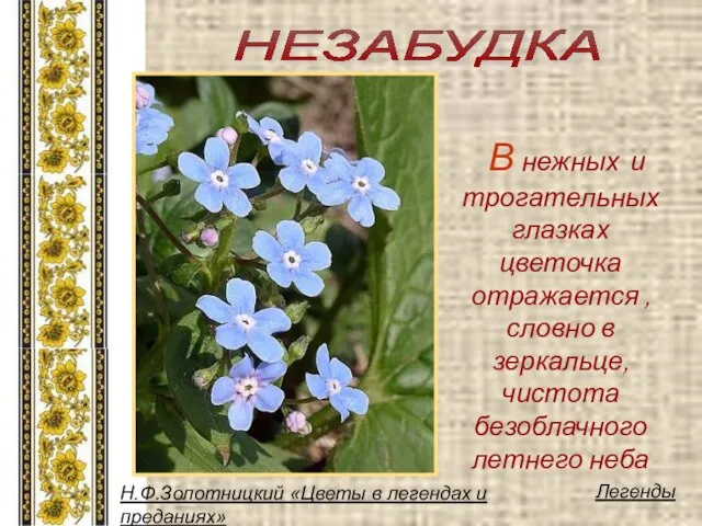 В нежных и трогательных глазках цветочка отражается , словно в зеркальце,