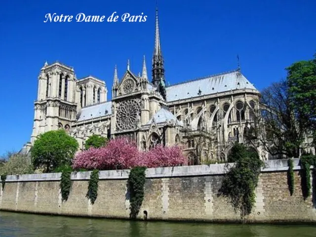 Notre Dame de Paris