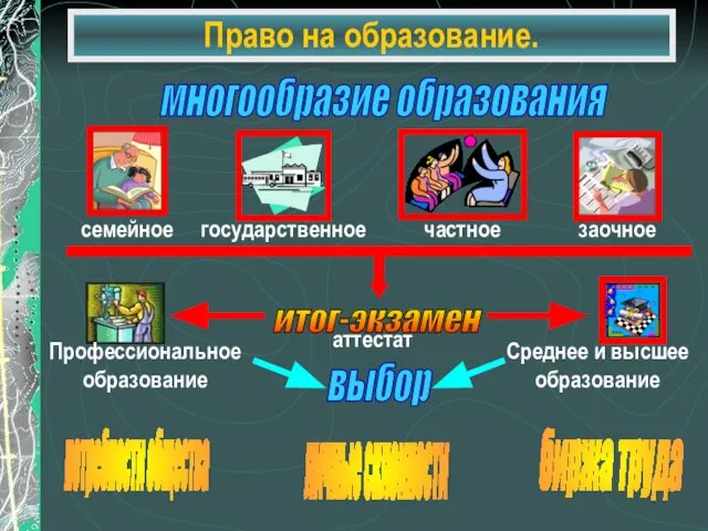 Право на образование. многообразие образования потребности общества личные склонности биржа труда