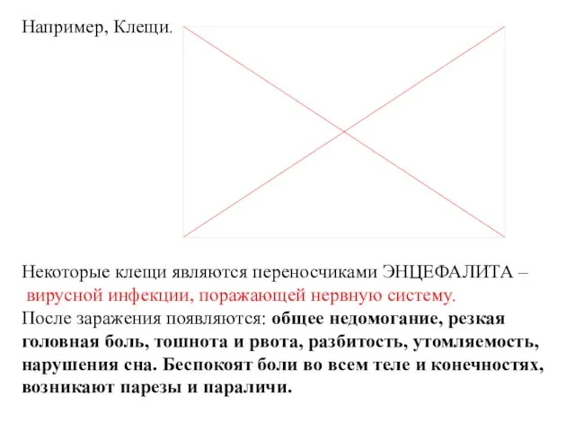 Например, Клещи. Некоторые клещи являются переносчиками ЭНЦЕФАЛИТА – вирусной инфекции, поражающей