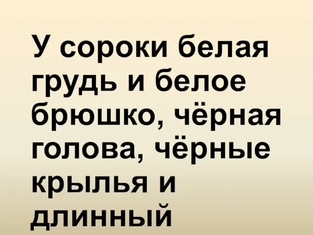 У сороки белая грудь и белое брюшко, чёрная голова, чёрные крылья