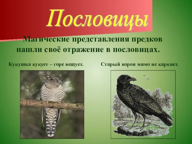 Пословицы Магические представления предков нашли своё отражение в пословицах. Кукушка кукует