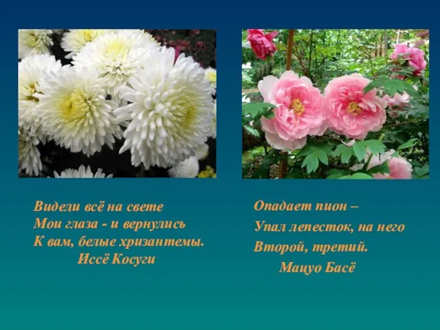 Опадает пион – Упал лепесток, на него Второй, третий. Мацуо Басё