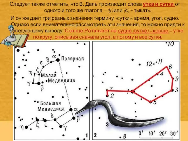 Следует также отметить, что В. Даль производит слова утка и сутки