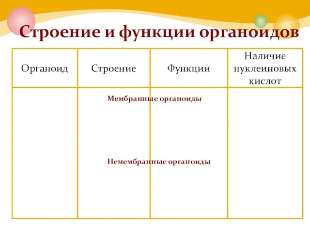 Органоид Строение Функции Наличие нуклеиновых кислот Строение и функции органоидов Мембранные органоиды Немембранные органоиды