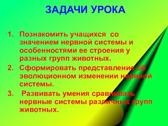 ЗАДАЧИ УРОКА Познакомить учащихся со значением нервной системы и особенностями ее