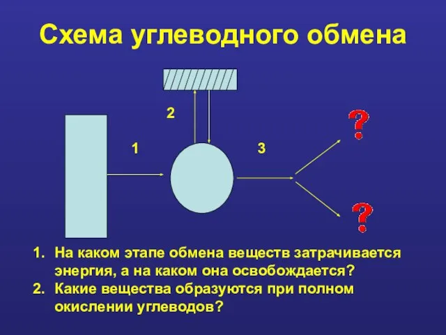 Схема углеводного обмена На каком этапе обмена веществ затрачивается энергия, а