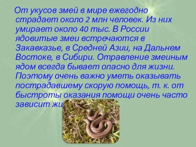 От укусов змей в мире ежегодно страдает около 2 млн человек.