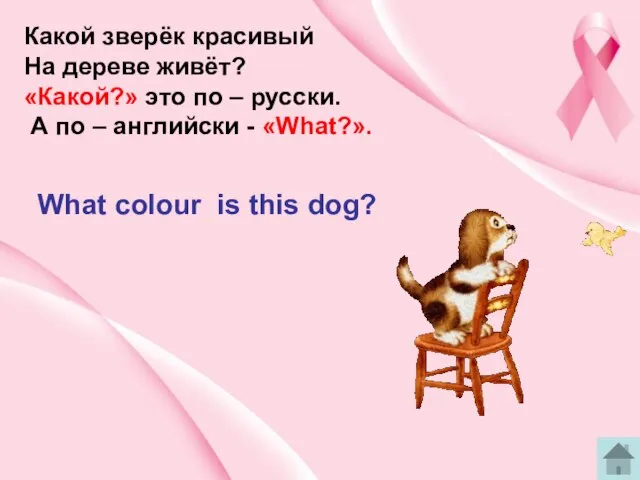 Какой зверёк красивый На дереве живёт? «Какой?» это по – русски.