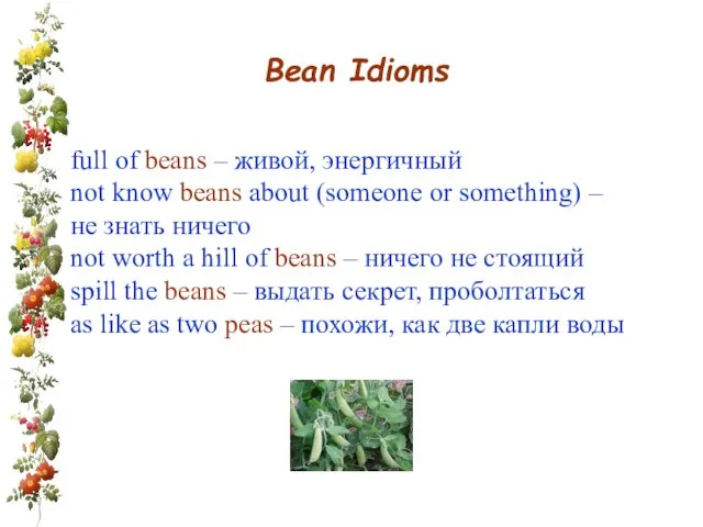 Bean Idioms full of beans – живой, энергичный not know beans