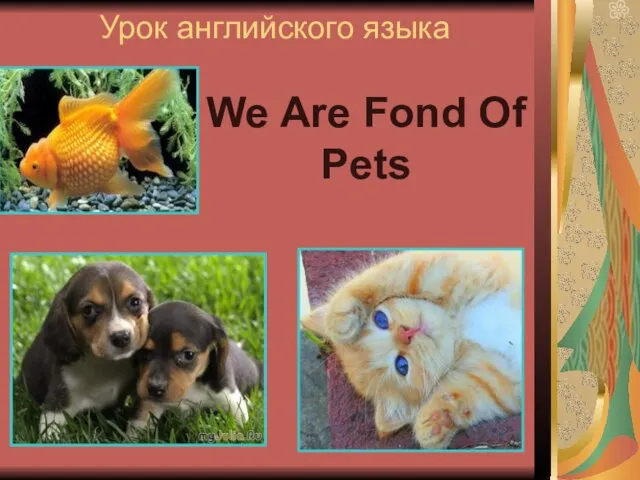 Урок английского языка We Are Fond Of Pets