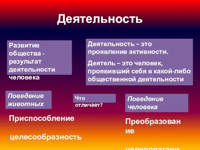 Деятельность Развитие общества -результат деятельности человека Деятельность – это проявление активности.