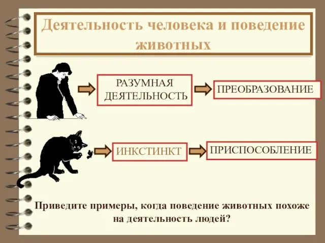 Деятельность человека и поведение животных Приведите примеры, когда поведение животных похоже на деятельность людей?