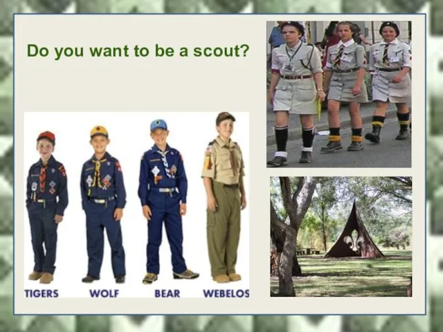 Do you want to be a scout?