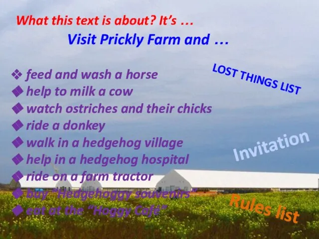 Visit Prickly Farm and … feed and wash a horse help